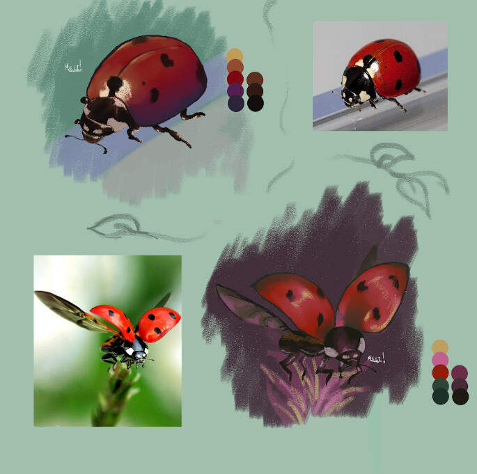 Ladybugs