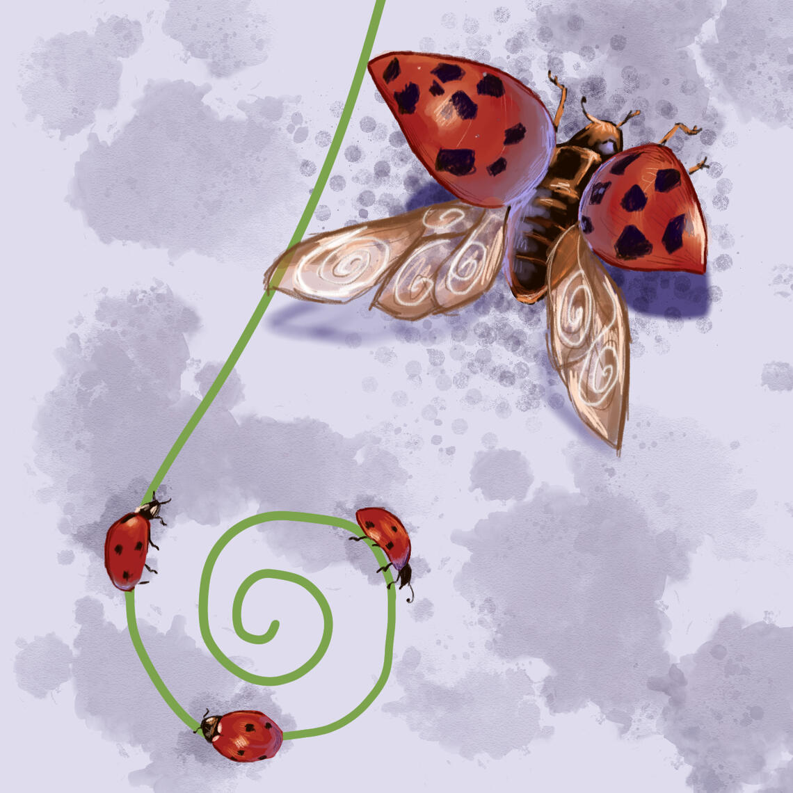 Ladybugs sketch